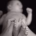 Anita Bernstein - Facebook