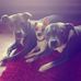 Anita Trev Budd - Facebook