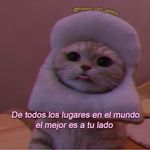 Anita Cadena - @anita.cadena.54 - Instagram