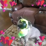 Anita Cunningham - @anita.cunningham.961 - Instagram