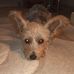 Anita Cunningham - Facebook