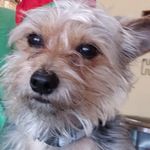 Anita Daugherty Cotney - @anitadaughertycotneyy - Instagram