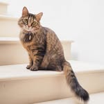 Anita Kessler - @kessler.anita83 - Instagram