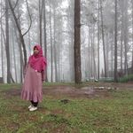 Anita Light - @nitashirochan - Instagram