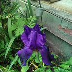 Anita Mowder - Facebook