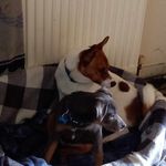 Anita Read - @anita.read.33 - Instagram