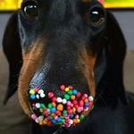 Anita Read - @daisybenny1969 - Instagram