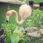 Nit Robi - @anita.robillard.1 - Instagram