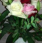 Anita Styles - Facebook