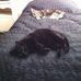 Anita Wright - Facebook
