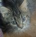 Anita Wright - Facebook