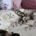 Anita Wright - @anita.wright.7169 - Instagram