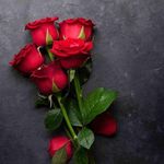 Anitha George - @_ani_tha_geo_rge - Instagram