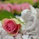 Anitha Ani - @anitha.gopal.5811 - Instagram