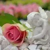 Anitha Gopal - @user260121417 - TikTok