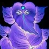 anithagopals - @anithagopals - TikTok