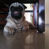 Anitha Rao - @anitharao33 - TikTok