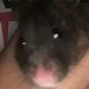 Aniya_Green! - @aniyargreen - TikTok