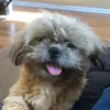 Aniyah Green - @aniyahgreen317 - TikTok