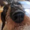 Anja - @anjabaumann1005 - TikTok