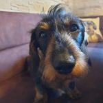 Anja Baumann - @seppi121_kalle - Instagram