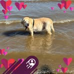 Anji Fenner - Facebook