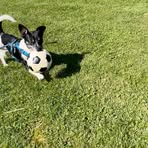 Anja Hamann - Facebook