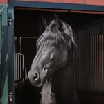 Anja Hamann - @hamannanja - Instagram