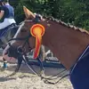 anja - @anja_hansenn - TikTok