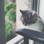 ninja & angel - @anja_harmony - Instagram