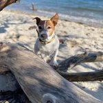 Anja Hoppe - @lunitours - Instagram