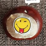 Anja Hoppe-Blech - @hoppeblech - Instagram