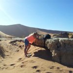 Anja Meyer - @anjameyerwildlife - Instagram