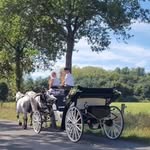 Anja Meyer - @hochzeitskutsche.a.cmeyer - Instagram