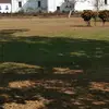 Anjali Chavan - @anjalichavan544 - TikTok
