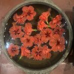 Anjali Menon - Facebook