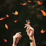 𝓪𝓷𝓳𝓪𝓷𝓪 𝓻𝓲𝓷𝓽𝓸 - @anjana__joy__ - Instagram