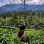 Anju John - @a_n_j_u_j_o_h_n - Instagram