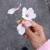 Anju john - @anju.john7 - TikTok
