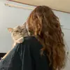 Anka Lee - @anka.lee8 - TikTok