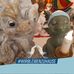 Anke Leitner - Facebook
