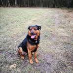 Anke Schmidt - Facebook