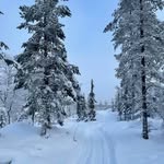 Anke Schmidt - @ankeschmidt49 - Instagram