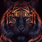 Anke Zimmermann - Facebook