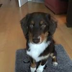Anke Zimmermann - @zimmermann.anke - Instagram
