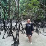 Anke Zimmermann - @ankezim13 - Instagram