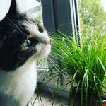 Anke Zimmermann - @anke5151 - Instagram