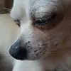 Anke Zimmermann - @ankezimmermann3 - TikTok