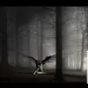 Anke Zimmermann - @anke069 - TikTok
