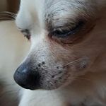 Anke Zimmermann - @anke.zimmermann.18041 - Instagram